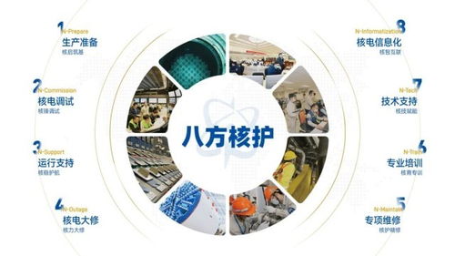 跨越太平洋的技术舵手 中国核电人赴美完成爆破阀检修技术服务纪实